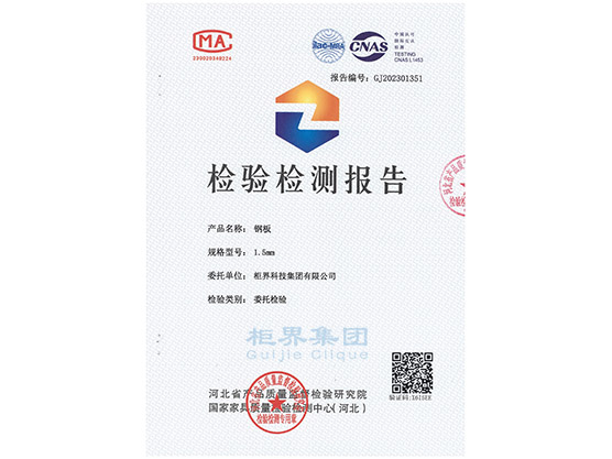 006 �ְ��ʼ챨��