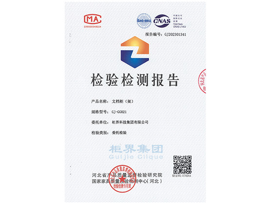 003 �ĵ����ʼ챨��