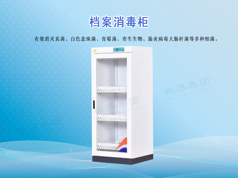 008 ����������